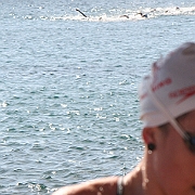 מים פתוחים אילת נובמבר 2008 074